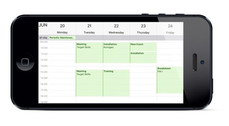 översikt av iPhone-kalender